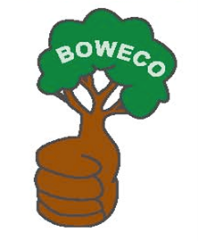 logo boweco.png