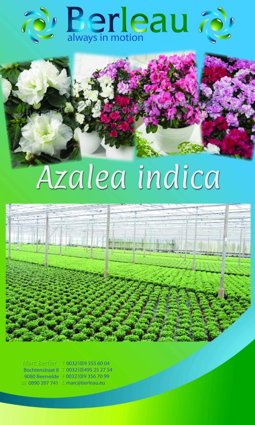 Berleau - 2018 - Proef banner Azalea (120 x 200 cm)-2.jpg