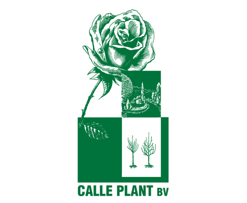 Logo Calle Plant BV 2021 vierkant formaat.png