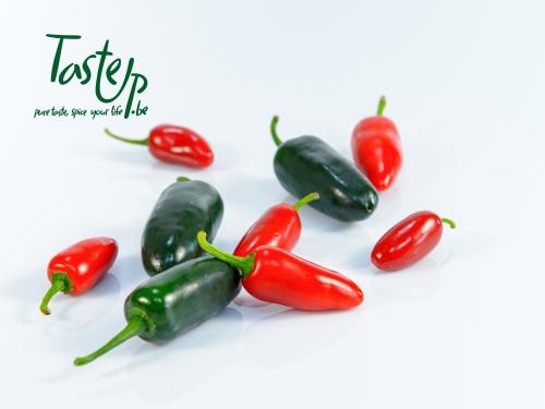 20022_TasteUp_RGB_Pepers_800x600px_Jalapeno_v1.jpg