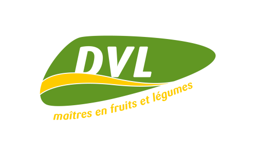 DVL_Logo_RGB.png