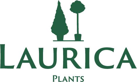 Laurica_logo_2019_groen.jpg