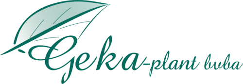 Geka-plant