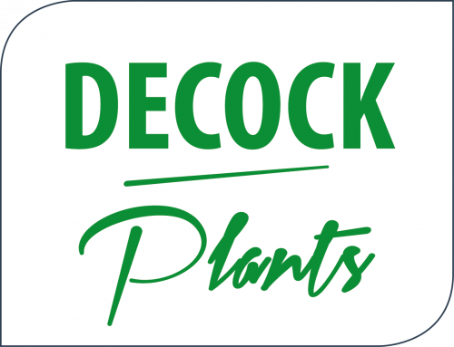 f577-decock-plants-logo-2017.png