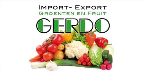 gerdo_f555-presentation.jpg gerdo_f555-presentation.jpg