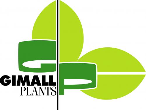 gimallplants_f54d-logo-gimall.jpg