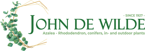 logo John De Wilde.png