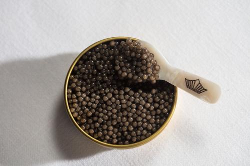 Caviar