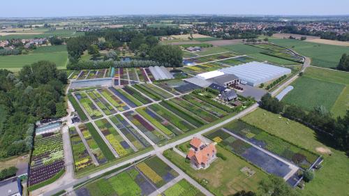 vandammesierplanten_f583-dji0009.jpg