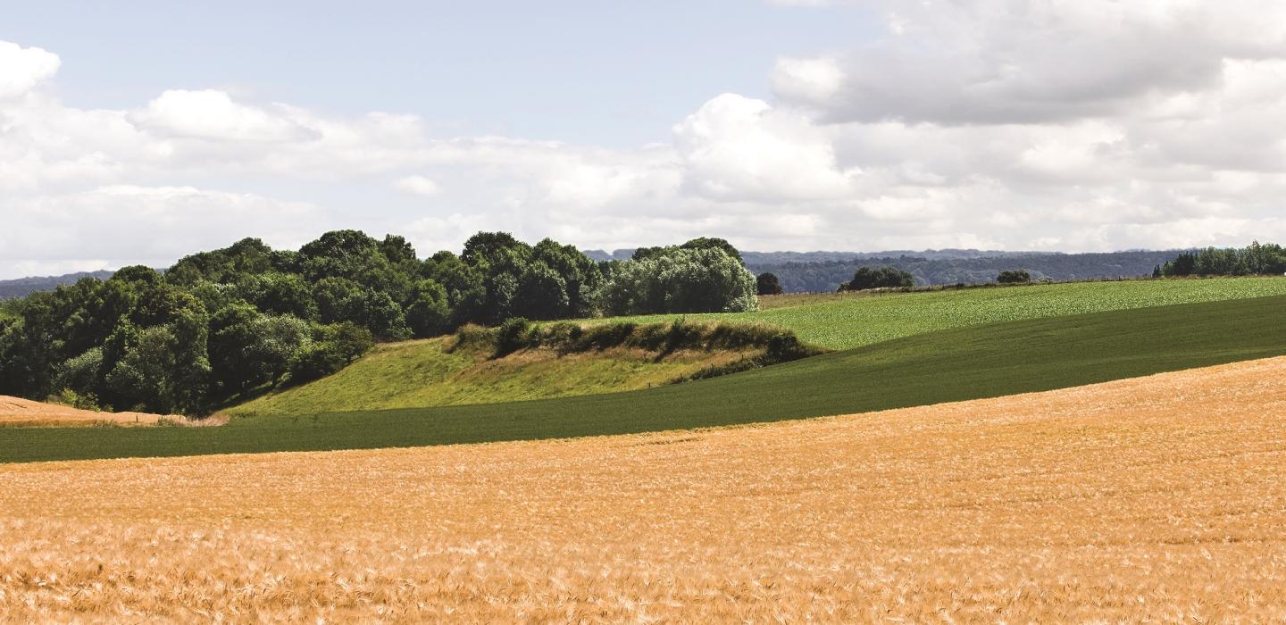 Landschap zonder vork