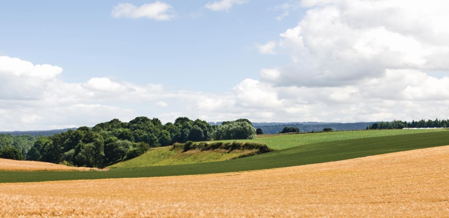 Vlaams landschap