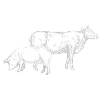 pork and beef