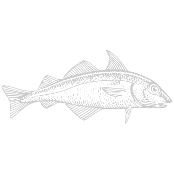 Pêche belge