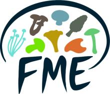 Fresh Mushroom Europe