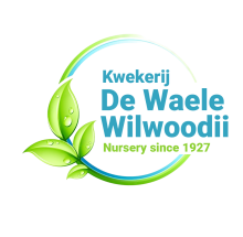 Logo Wilwoodii 2025.png