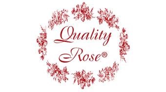 Quality Rose